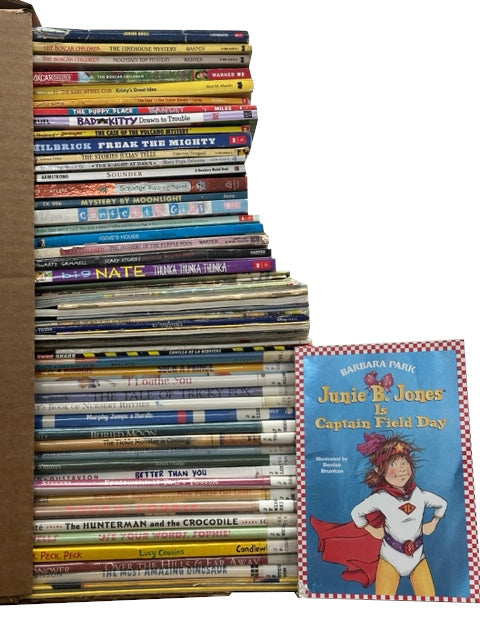 BEATER Learning to Read (K-3rd Mix) - Giant Surprise Book Box