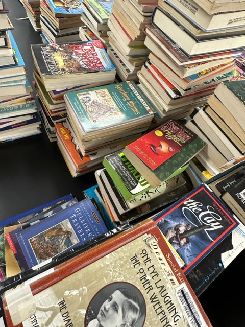 BEATER AR-Checked Chapter Books by Grade