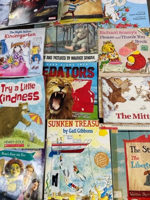 TheBookBundler Book Box Surprise 100 BEATER book box Kids K-3 BEATER Book Box Surprise
