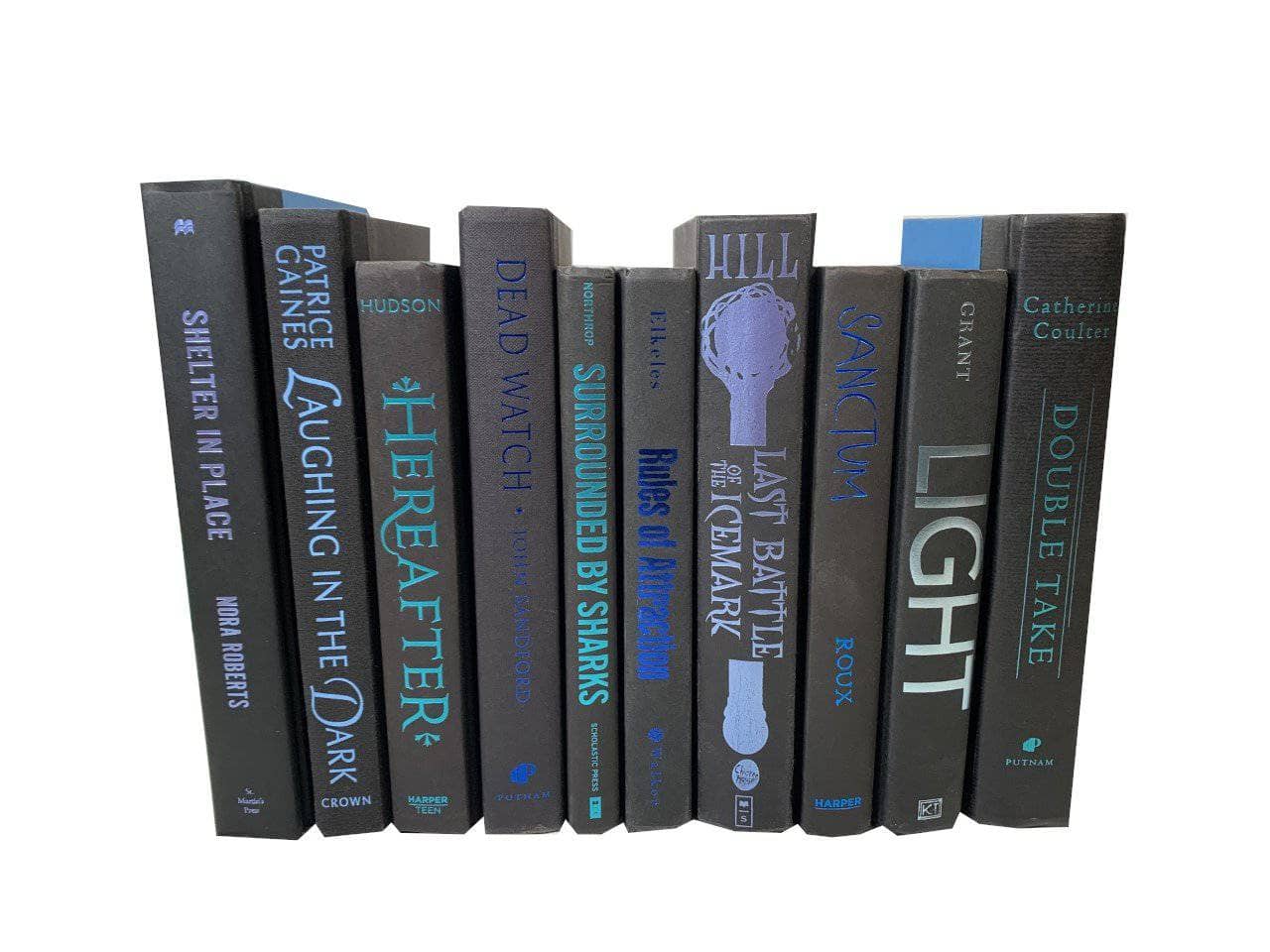 TheBookBundler Books by Color Black: Blue Letters / 1 foot Modern Black Books with Color Accents | Decorative Books by Color | By the Foot - Custom Lettering Colors | Designer Decor