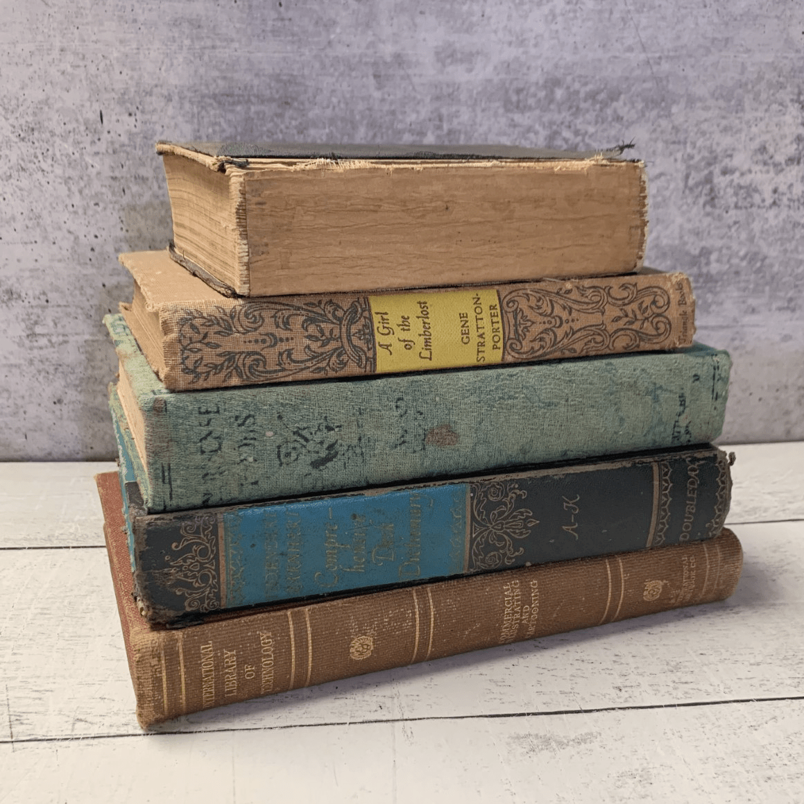TheBookBundler Books by Color VINTAGE Shabby Books | Books by the Foot | Authentic Decorative Books | Home Staging Decor