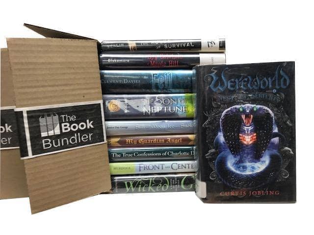 TheBookBundler Bulk Books 10 Books / BEATER Used / Mixed BEATER YA Young Adult Chapter Books