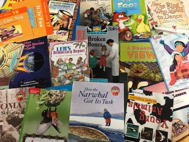 TheBookBundler Bulk Books 110+ Readers Mixed Classroom Leveled Readers (ages 6-12)
