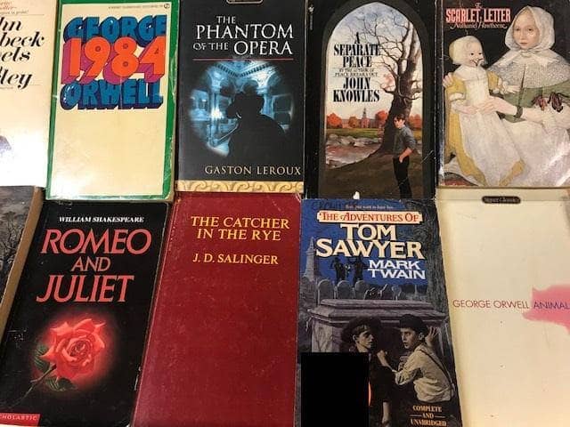 TheBookBundler Bulk Books 15 books / Premium Used Classics of Literature - Mass Market Paperbacks