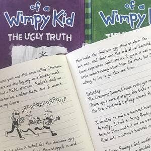 TheBookBundler Bulk Books 5 Books Diary of a Wimpy Kid Books