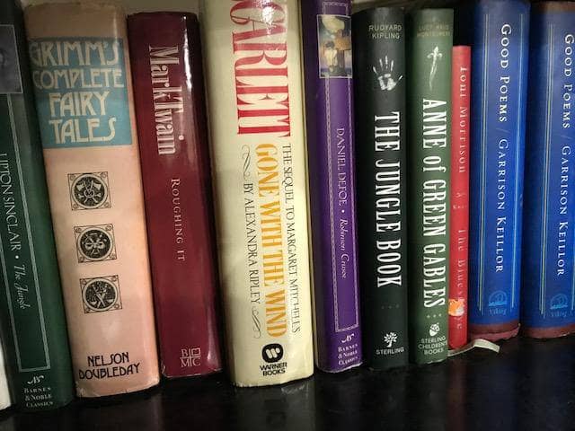 TheBookBundler Bulk Books 5 books / Premium Used Hardcover Classics Literature Books