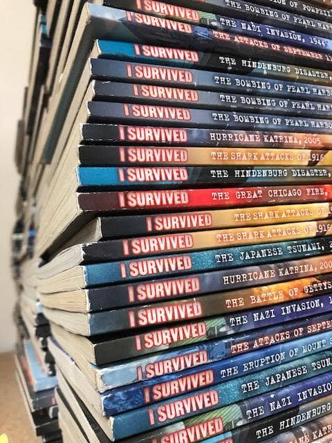 TheBookBundler Bulk Books 5 Books / Premium Used I Survived Books