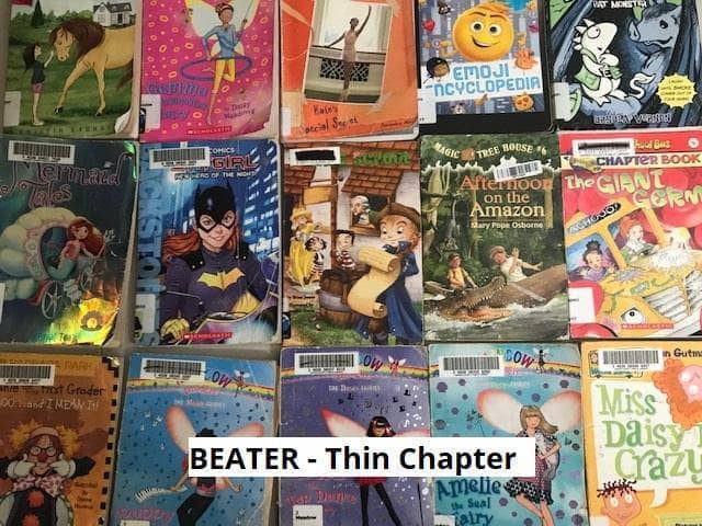 TheBookBundler Bulk Books BEATER Thin Chapter Books