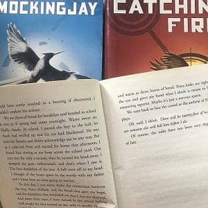 Hunger Games trilogy book bundle set – TheBookBundler