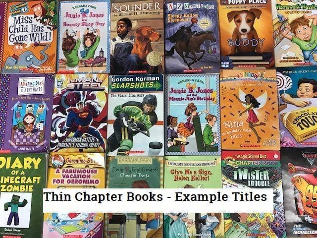 TheBookBundler Bulk Books Kids Chapter Books Bulk (ages 6-13)
