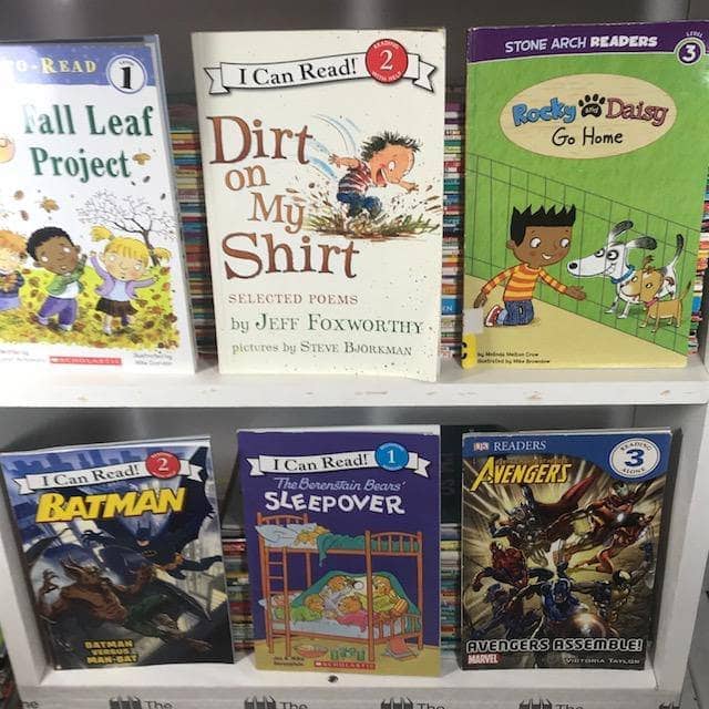 TheBookBundler Bulk Books Leveled Readers Kids Books <br> (ages 3-8)