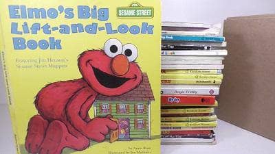 TheBookBundler Bulk Books Lift-the-Flap Baby & Toddler Books <br>(ages 0-4)
