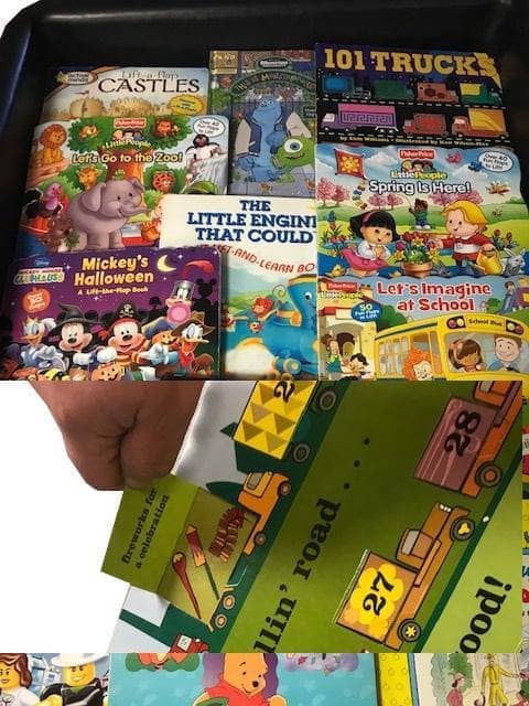 TheBookBundler Bulk Books Lift-the-Flap Baby & Toddler Books <br>(ages 0-4)