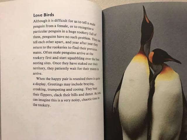 TheBookBundler Bulk Books Nature's Children <br> Animal Nonfiction (ages 7-10)