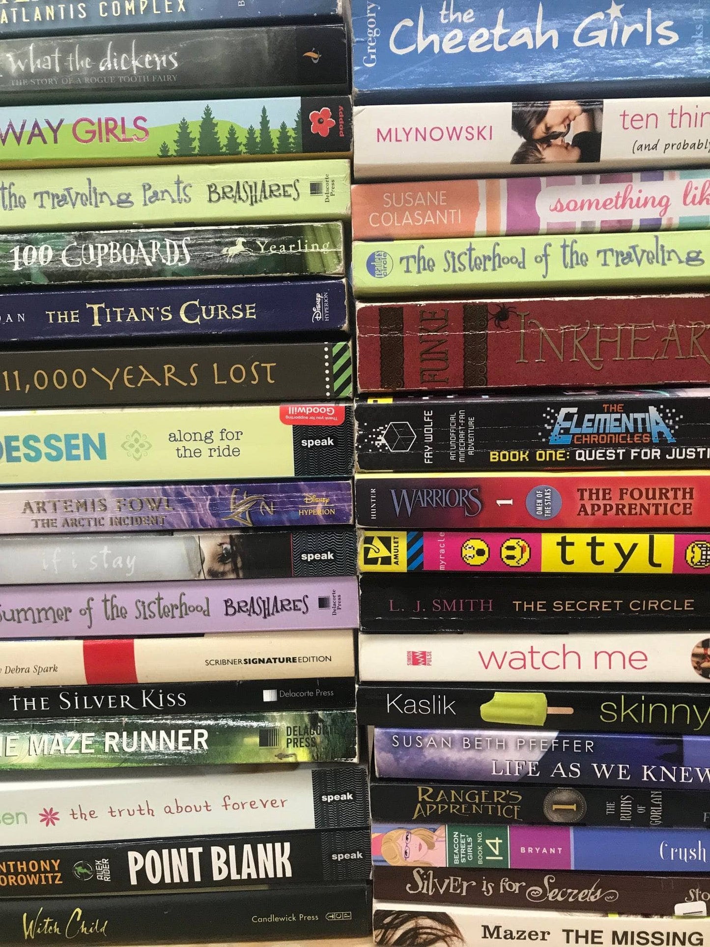 TheBookBundler Bulk Books Paperback Young Adult Books (YA)