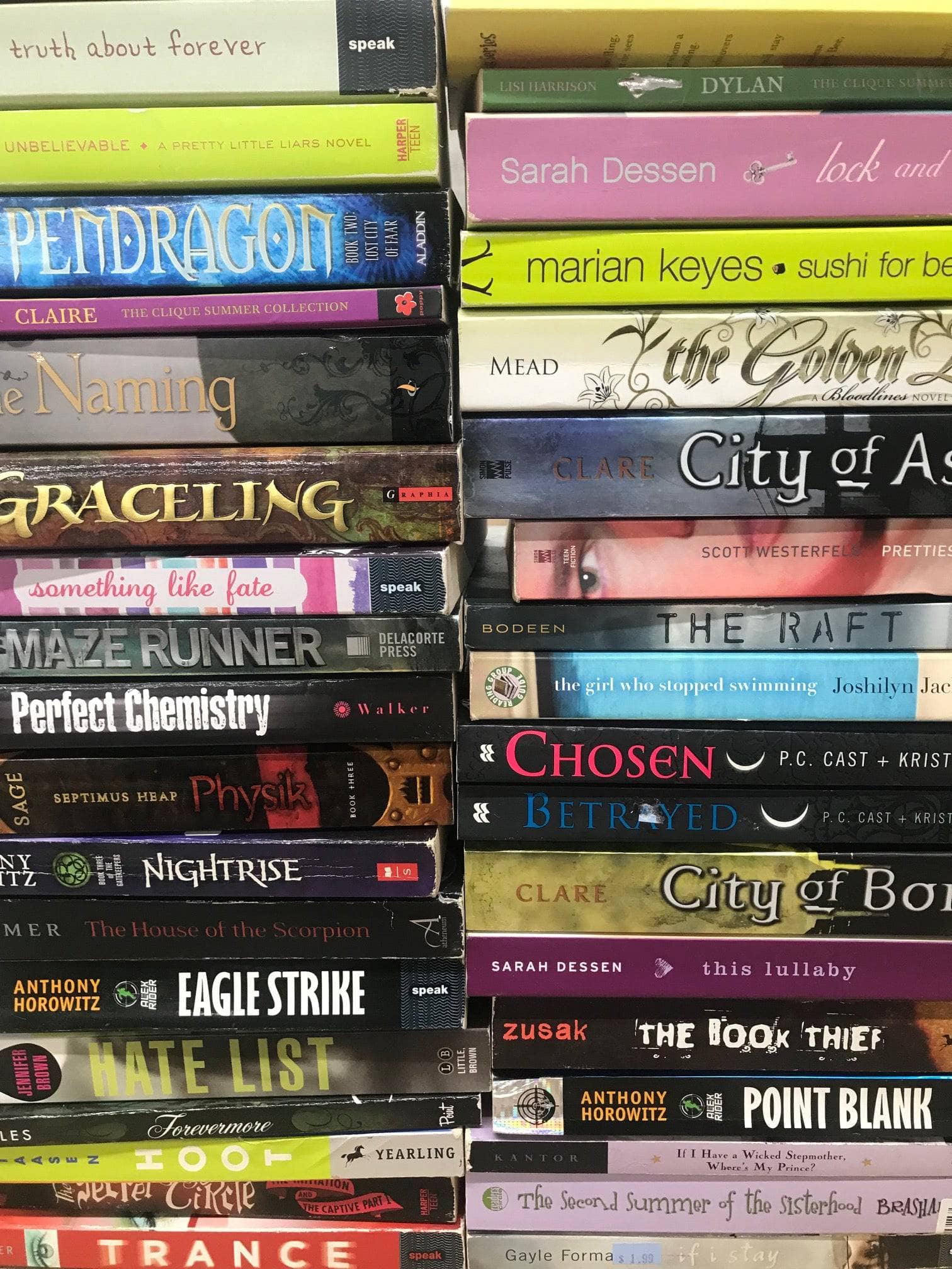 TheBookBundler Bulk Books Paperback Young Adult Books (YA)