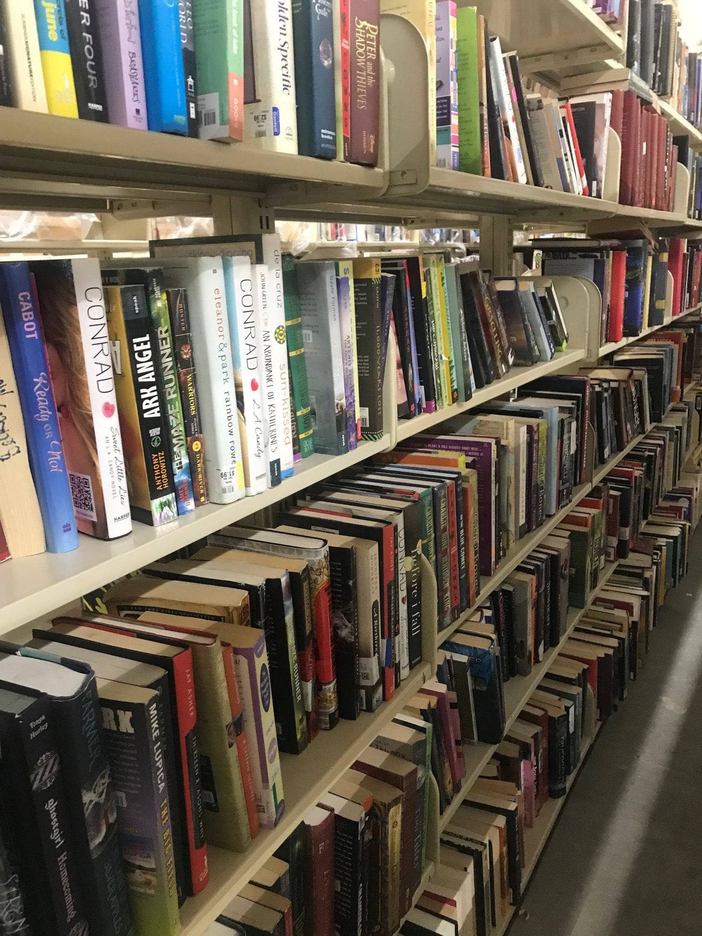TheBookBundler Bulk Books Paperback Young Adult Books (YA)