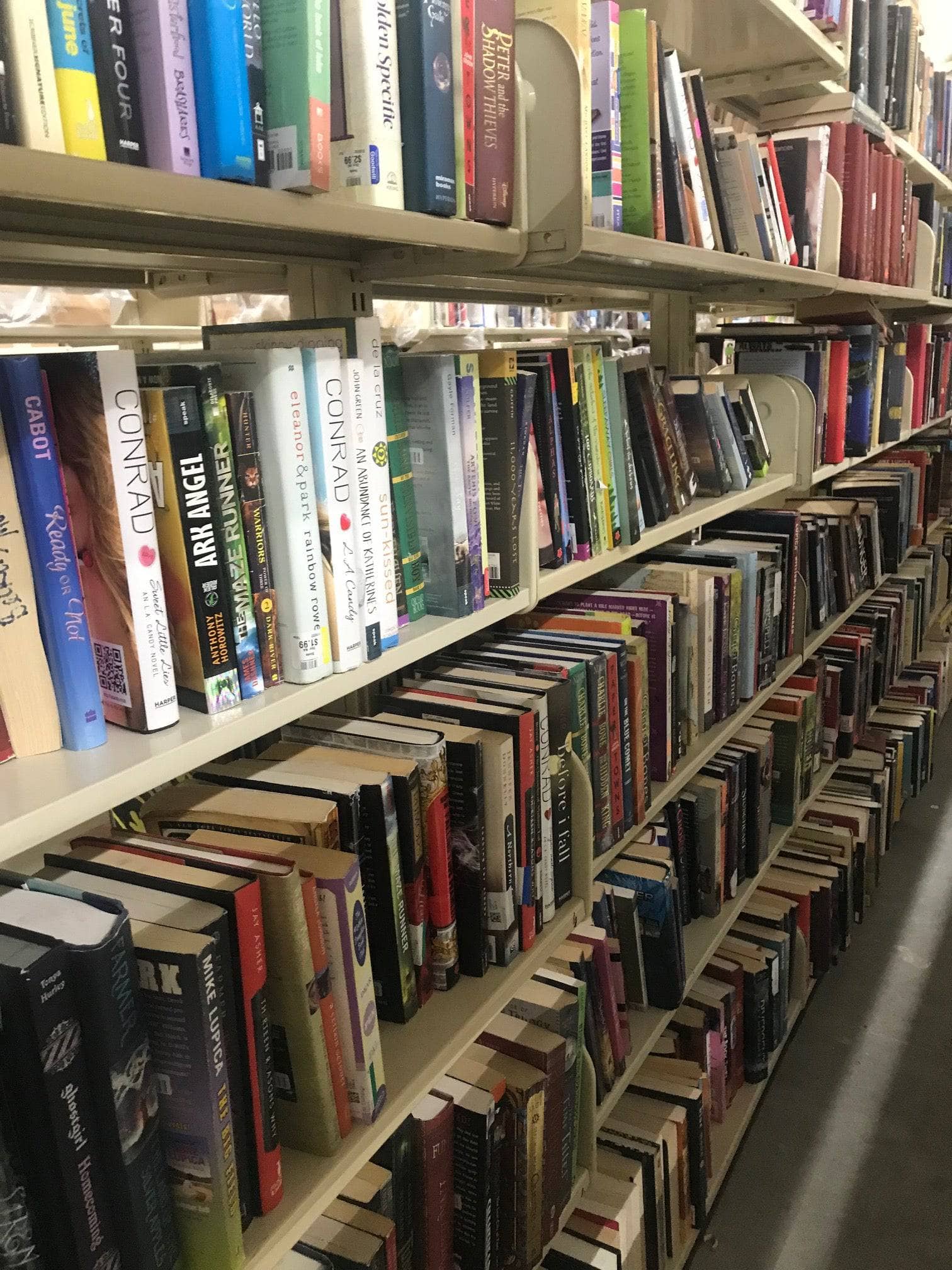 TheBookBundler Bulk Books Paperback Young Adult Books (YA)