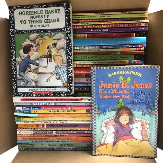Kids Chapter Book Box - 50 books $45 – TheBookBundler