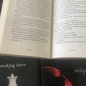 TheBookBundler Bulk Books Twilight Series Twilight Series Complete Classic Book Set(1-4)