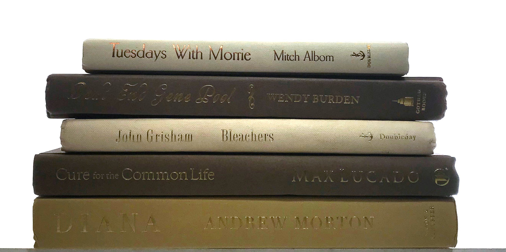 TheBookBundler Hidden 5-6 books (Half-Foot) Modern Cream & Coffee Books by the Foot & Color