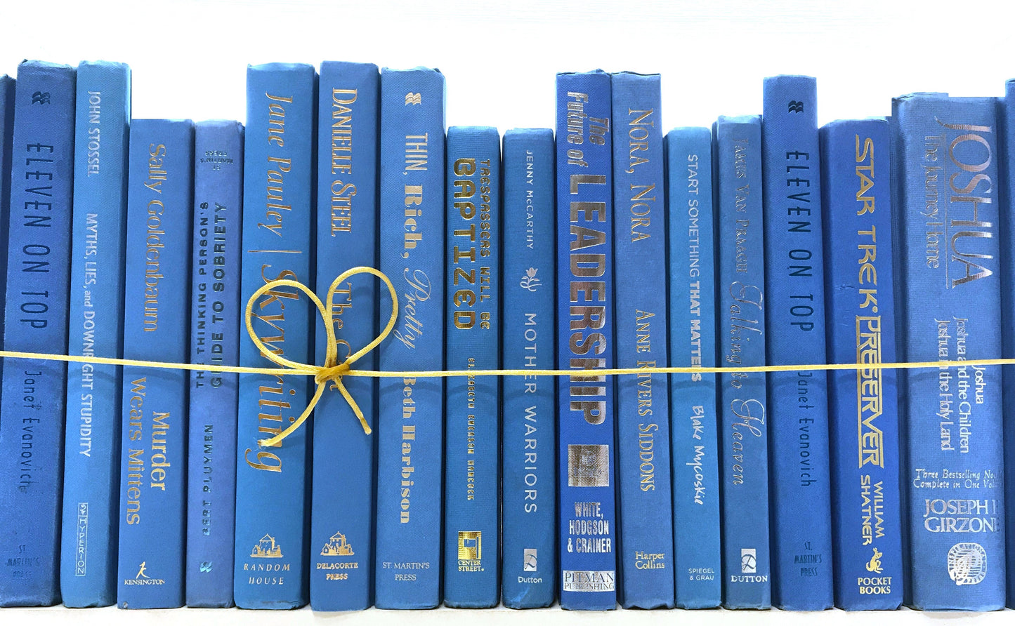 TheBookBundler Hidden Modern Light Blue Books by the Foot & Color