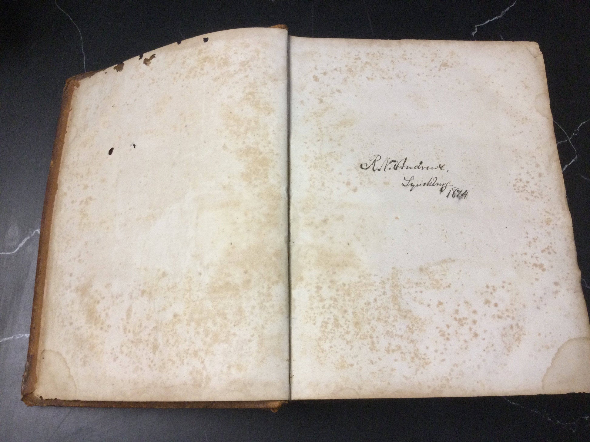 TheBookBundler Uber Rare Book Vault Price RARE American Dictionary of the English Language 1850's | Noah Webster | Revised and Enlarged | Antiquarian Oversized Leather Bound